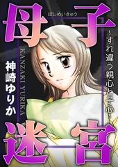 母子迷宮～すれ違う親心と子心～ [メディアソフト]