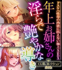年上お姉さんの淫らで艶やかな導き ～ドスケベ性母の肉欲に抗えない極上SEX～【CG集コレクションBIG】 [どろっぷす！]