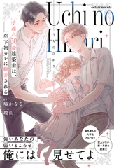うちのひかり～子連れ30歳建築士は、年下初カレに翻弄される～【イラスト付き】【単行本書き下ろしSS付き】 [MUGENUP]