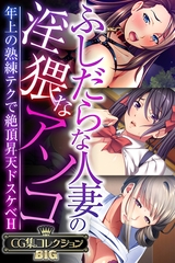 ふしだらな人妻の淫猥なアソコ ～年上の熟練テクで絶頂昇天ドスケベH～【CG集コレクションBIG】 [どろっぷす！]