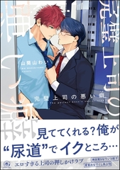 完璧上司の悪い癖【電子限定かきおろし漫画4P付】 [海王社]
