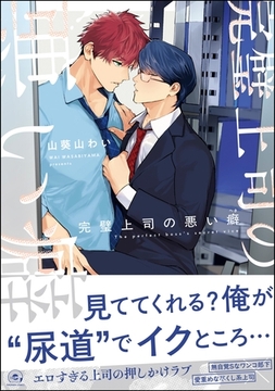完璧上司の悪い癖【電子限定かきおろし漫画4P付】 [海王社]