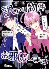 訳アリ物件お邪魔します 物件1 怪奇現象の起きる部屋？ [ナンバーナイン]