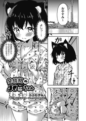 発情期のJC猫ちゃん