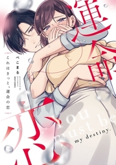 【期間限定　無料お試し版】これはきっと、運命の恋 1 【電子限定おまけマンガ付き】 [宙出版]