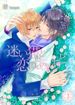 迷い猫と恋のあしあと(3) [シガリロ]