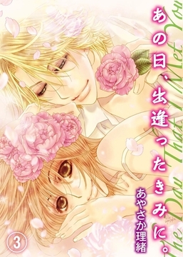 あの日、出逢ったきみに。(3) [qap]