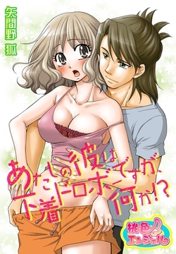 あたしの彼は下着ドロボーですが、何か！？ [シーモアコミックス]