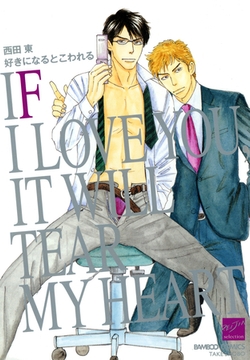 好きになるとこわれる [竹書房]