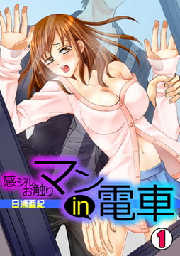 感ジルお触りマンin電車(1) [CLLENN]