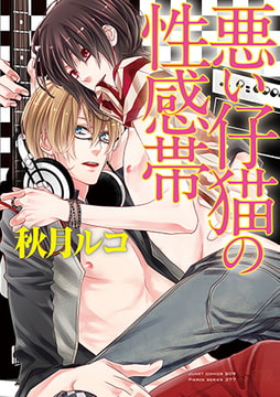 悪い仔猫の性感帯 [ジュネット]