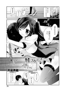 ひとりじめ妹スタディ! [辰巳出版]