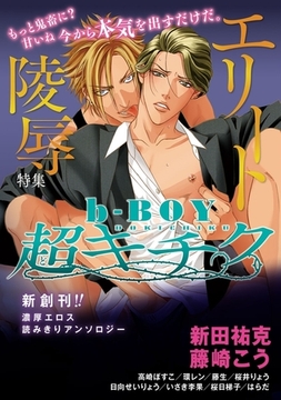 b-BOY 超キチク エリート陵○特集 [リブレ]