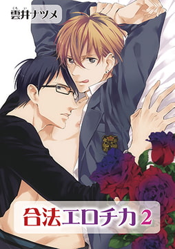 合法エロチカ 2 [オークラ出版]