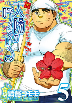 太陽が呼んでいる 5 [メディレクト（旧 古川書房）]