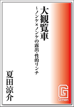 大観覧車 [メディレクト（旧 古川書房）]