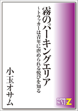 霧のパーキングエリア～トラッカーは青年に虐められる悦びを知る [メディレクト（旧 古川書房）]