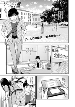 ゲーマーの姫 [文苑堂]