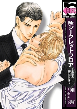 Mr.シークレットフロア〜小説家の戯れなひびき〜 [リブレ]