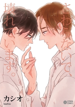 さわらないで、壊れています。 [リブレ]