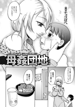 母姦団地 [エンジェル出版]