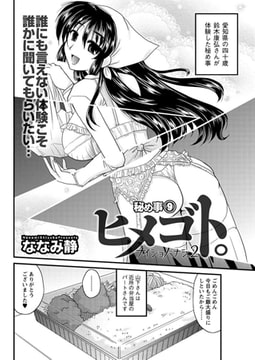 ヒメゴト。（9） [双葉社（アクションピザッツ）]