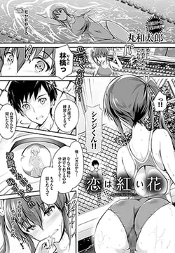 恋は紅い花 [文苑堂]