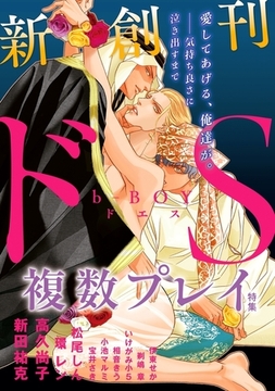 b-BOY ドS 複数プレイ特集 [リブレ]