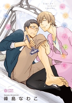 きみのかわいいところ [リブレ]