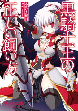 黒騎士王の正しい飼い方 [フランス書院]