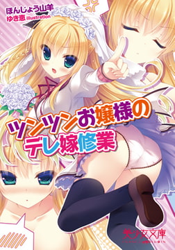 ツンツンお嬢様のデレ嫁修業 [フランス書院]