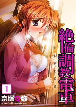 【セット売り】絶倫調教電車 [STDパブリッシング]