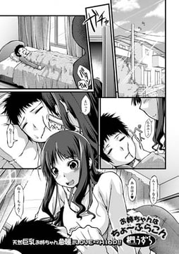 お姉ちゃんはちょ～ぶらこん [一水社]