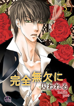 完全無欠に囚われる 3 [SNP]