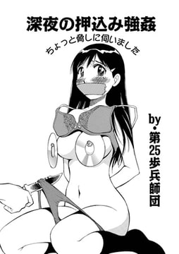 深夜の押し込み強○ [メディアックス]