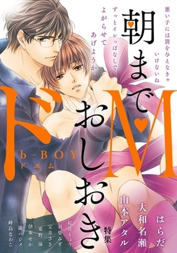 b-BOY ドM 朝までおしおき特集 [リブレ]