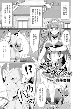 姫騎士エルフの受難【単話】 [キルタイムコミュニケーション]