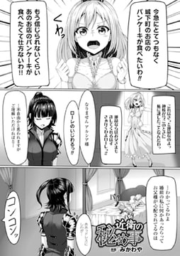 近衛の秘め事【単話】 [キルタイムコミュニケーション]