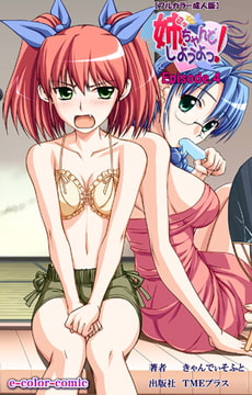 姉、ちゃんとしようよっ! Episode.4【フルカラー成人版】 [TMEプラス]