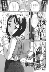 暴犯パトロール