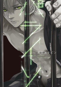 パライソ [ふゅーじょんぷろだくと]