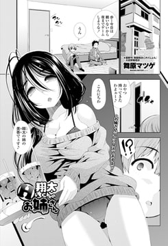 翔太くんのＨなお姉さん [辰巳出版]