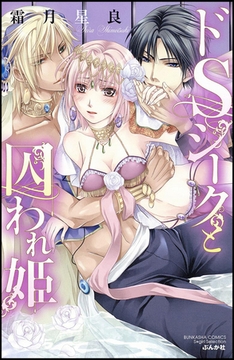 ドＳシークと囚われ姫 [ぶんか社]