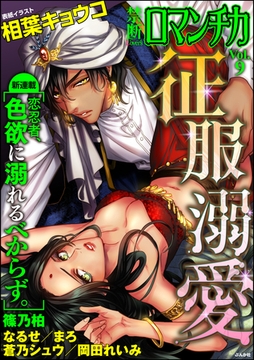禁断ＬｏｖｅｒｓロマンチカＶｏｌ．００９征服溺愛 [ぶんか社]