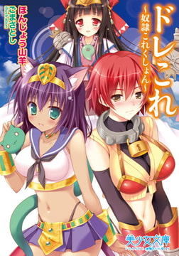 ドレこれ～奴○これくしょん～ [フランス書院]