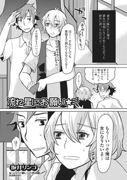 流れ星にお願い【単話】 [一水社]