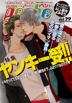 GUSHpeche　ｖｏｌ．２９　ヤンキー受！！ [海王社]