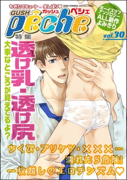 GUSHpeche　ｖｏｌ．３０　透け乳・透け尻 [海王社]