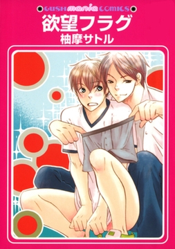 欲望フラグ [海王社]