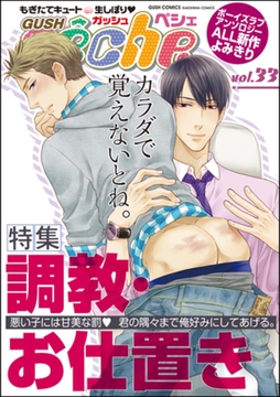 GUSHpeche　調教・お仕置き [海王社]